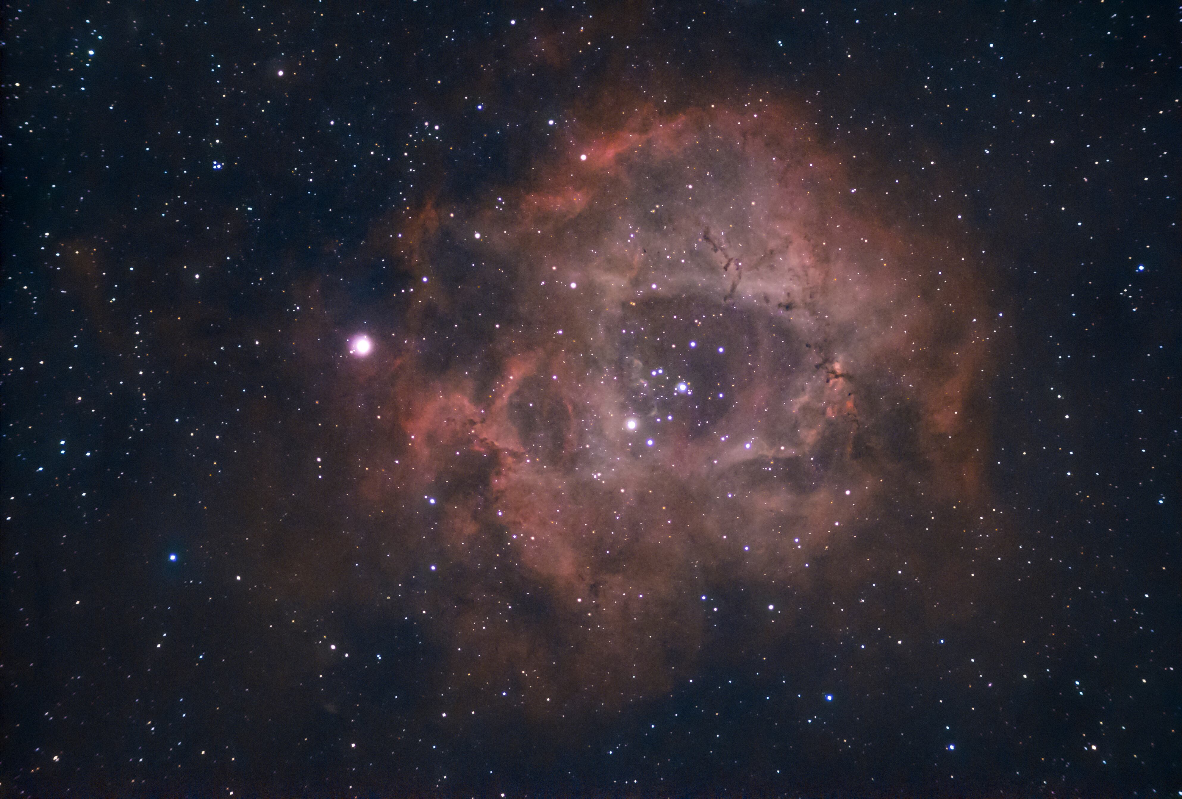 Anthony Choy asegura que "no estamos solos". (Foto: EFE)