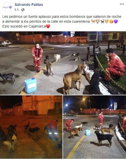 Salvando Patitas en Facebook