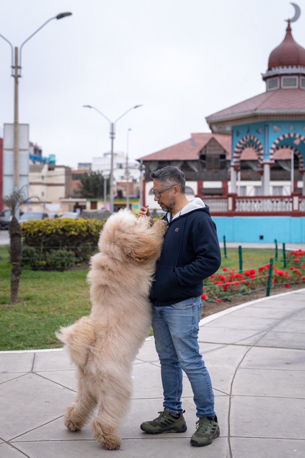 Es tímido con las personas, pero muy sociable con otros perritos. Foto: Antonio Melgarejo.