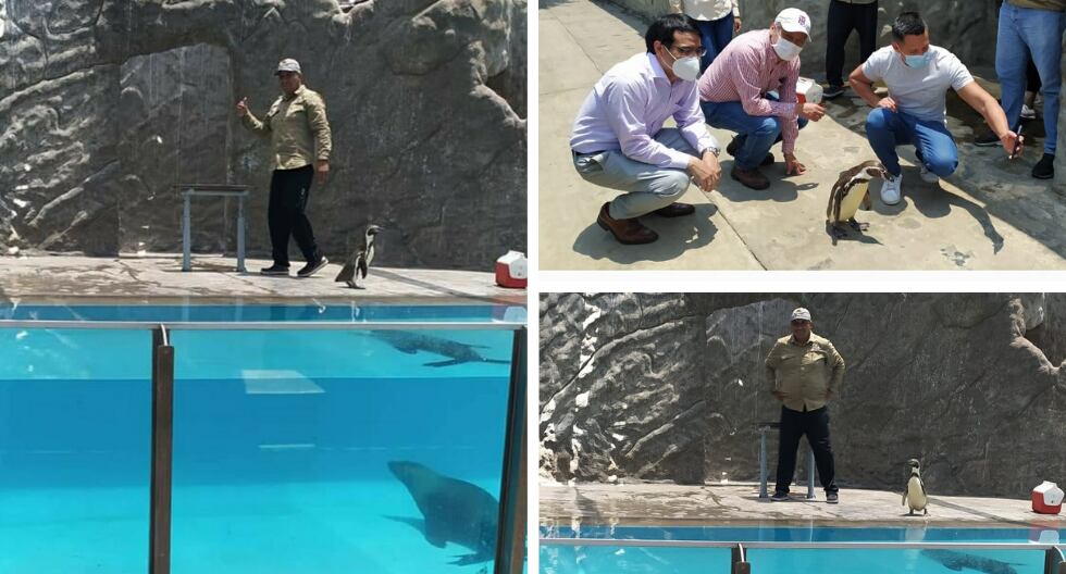 'Killer' es el 'rey' de este centro recreacional