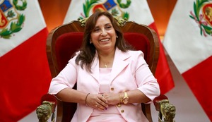 Gobierno sin rumbo y Congreso gansteril en ‘Picotitos’ de El Búho