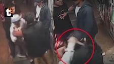 ¡Discusión terminó en asesinato! Cámara capta cómo hombre es apuñalado en SJL