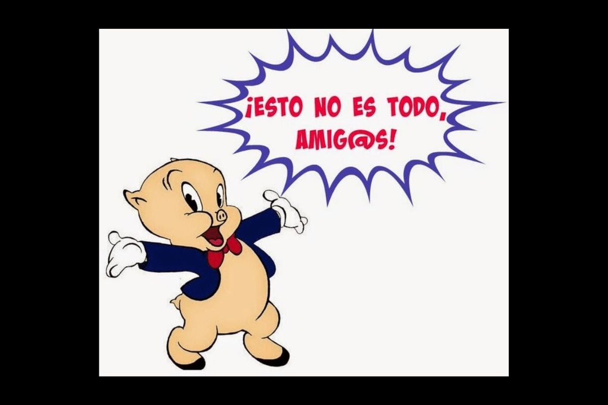 Los memes del Flash Electoral