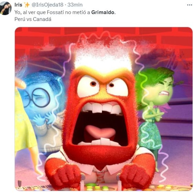 Memes del Perú vs. Canadá por la Copa América 2024