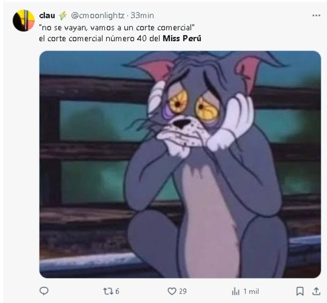 Miss Perú 2024 memes