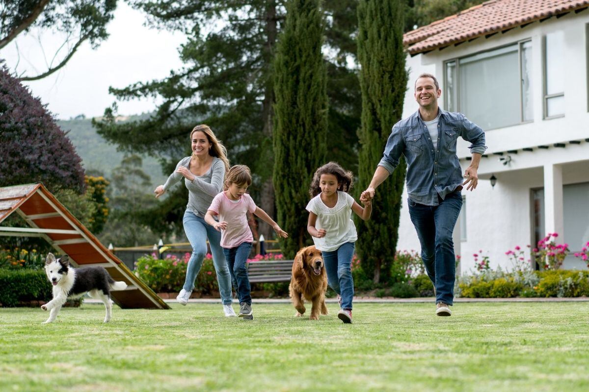 No basta con traer un cachorro o un gato a casa; es necesario educar tanto al niño como al animal en el respeto mutuo. Foto: iStock.