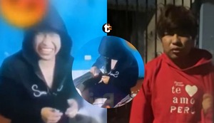 ¡Crueldad sin límites! Joven mete gato en mochila y le detona pirotécnico en Moquegua