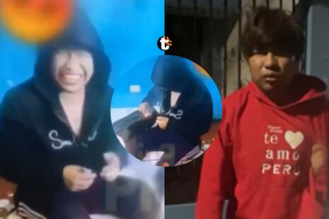 ¡Crueldad sin límites! Joven mete gato en mochila y le detona pirotécnico en Moquegua