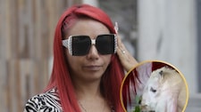 Deysi Araujo devuelve a su cabrita tras críticas de Magaly y Pancho Cavero: “Me apena tanto hate”