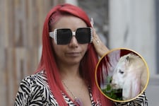 Deysi Araujo devuelve a su cabrita tras críticas de Magaly y Pancho Cavero: “Me apena tanto hate”