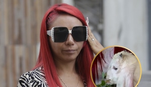 Deysi Araujo devuelve a su cabrita tras críticas de Magaly y Pancho Cavero: “Me apena tanto hate”