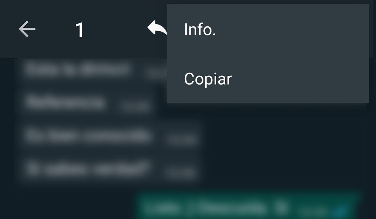 Para ello deberás ingresar a una de tus conversaciones de WhatsApp para poder comprobarlo. (Foto: WhatsAPp)