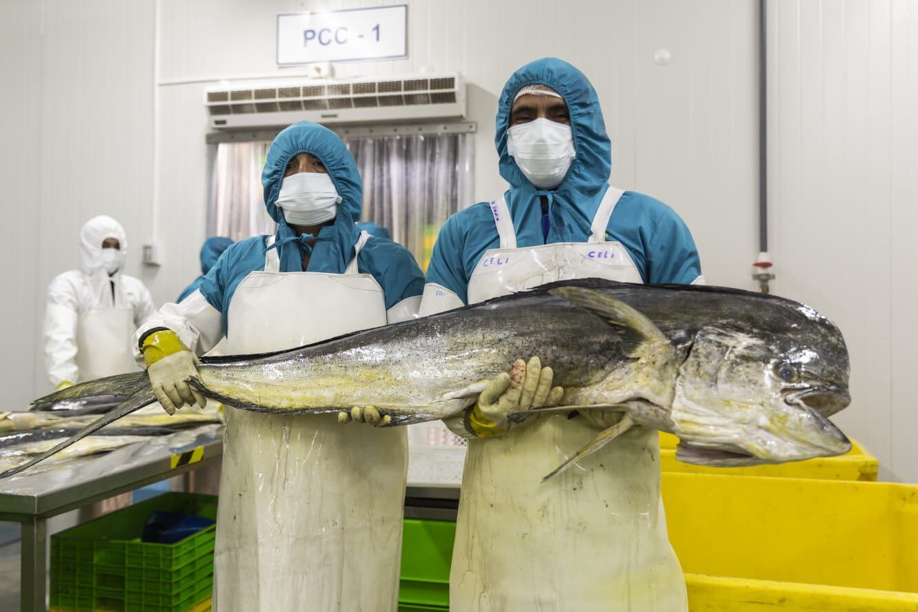 Esta actividad tuvo el propósito de destacar la imagen internacional de Perú como promotor del aprovechamiento sostenible del perico.