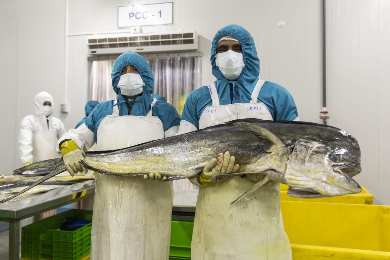 Eesta actividad tuvo el propósito de destacar la imagen internacional de Perú como promotor del aprovechamiento sostenible del perico.