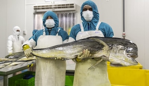 Perú destaca avances en la industria pesquera del perico con prácticas sostenibles en feria de USA