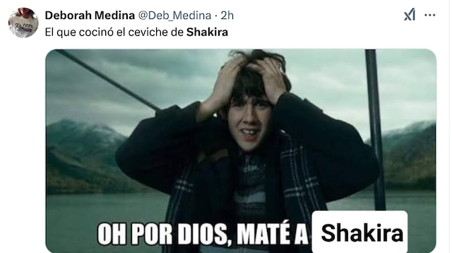 MEMES DE SHAKIRA