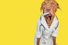 ¿Tu perro está mal? Cuidado, no todas las medicinas de humanos son para ellos
