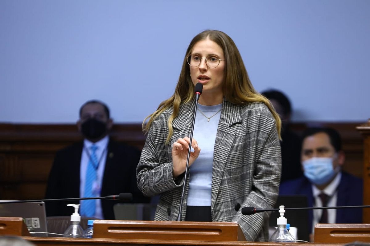 Adriana Tudela retiró proyecto de ley sobres inspecciones a centros comerciales. (Foto: Congreso)