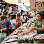 Precio de la pota se dispara a 20 soles el kilo y escasea en terminal pesquero: “No ha entrado, está carísimo”