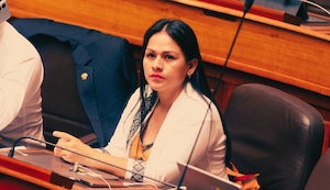 Pepitas: Sigue el escándalo por el supuesto traidor a la izquierda en la elección del Senado
