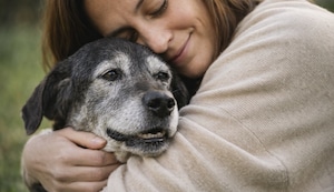 Día del Perro adoptado: Lanzan campaña para que canes de la calle encuentren un hogar