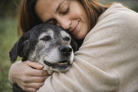 Día del Perro adoptado: Lanzan campaña para que canes de la calle encuentren un hogar
