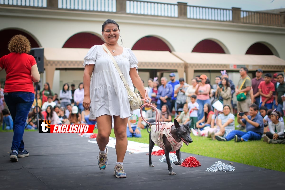 Una perrita recorrió la pasarela junto a su dueña, mientras el público seguía atento cada paso. Foto: César Bueno.