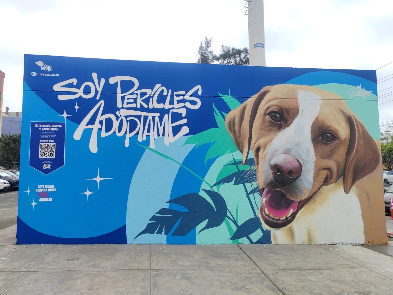 Murales coloridos buscan cambiar la vida de perritos. Foto: difusión