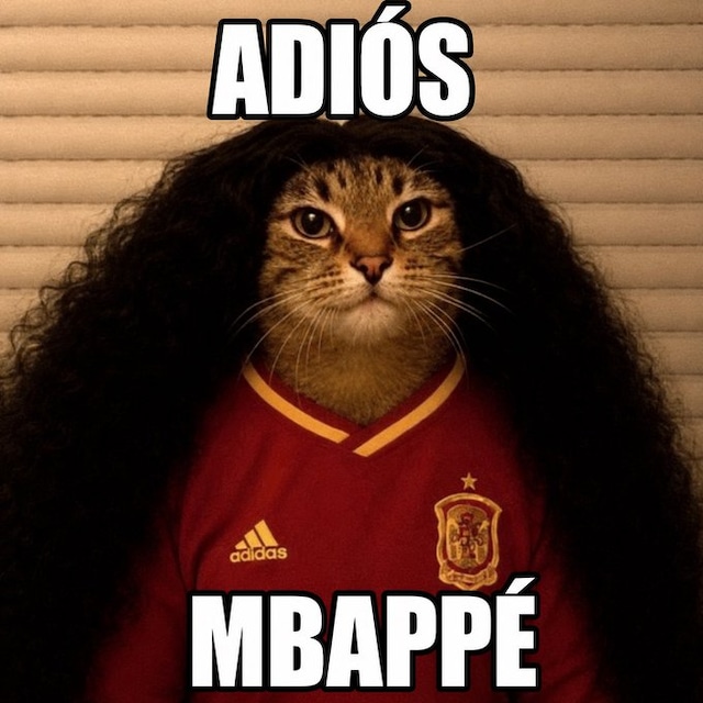 Mira los mejores memes de la derrota de Francia ante España. (Redes sociales)