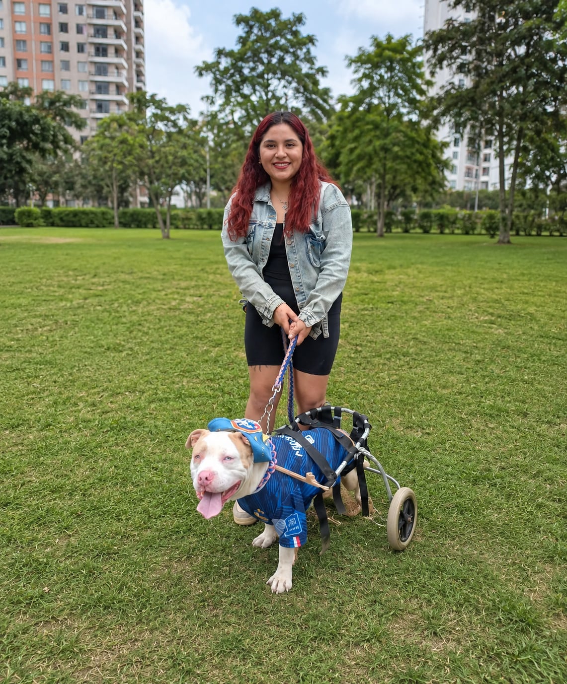 Desde que conoció a Angelito su vida cambió y convirtió el rescate de animales abandonados (o heridos) en su misión de vida. Foto: Archivo TikTok 'Angelito sobre ruedas'.