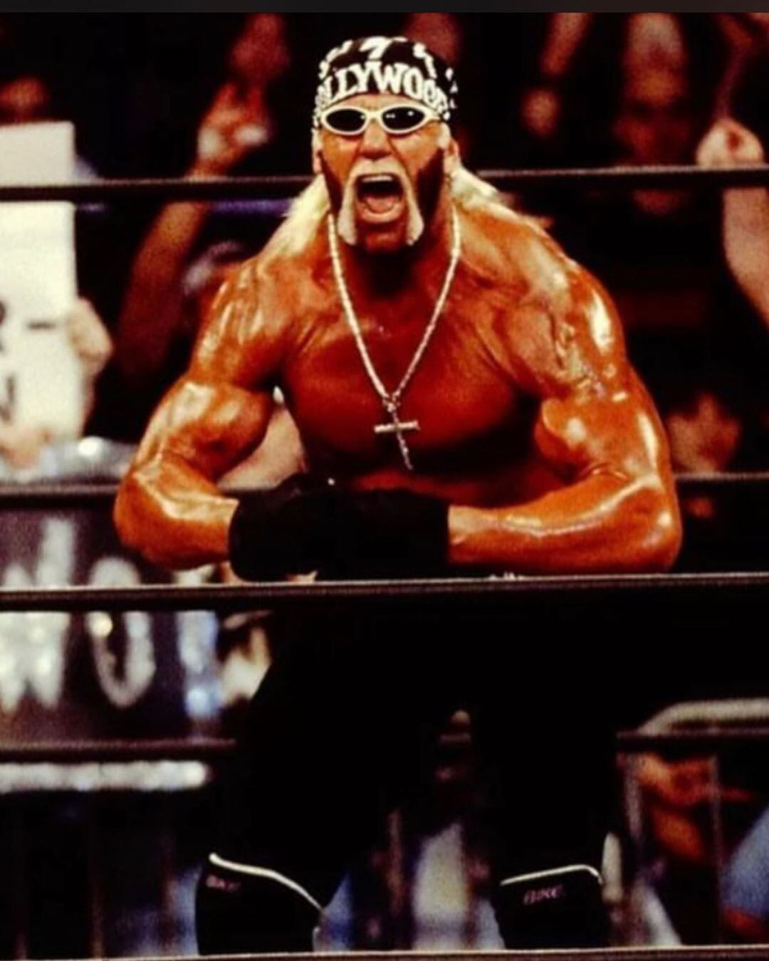 En su etapa como Hollywood, Hogan no participó en el Royal Rumbel. (WWE)