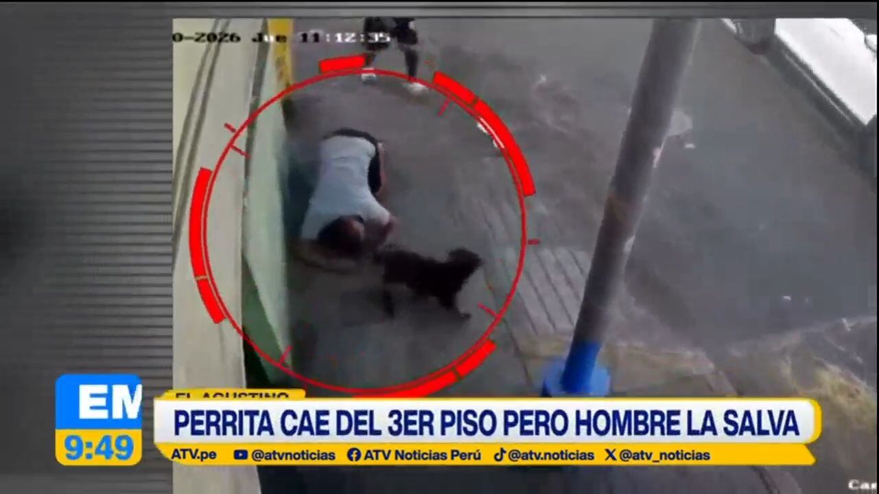 'Pelusa' se fue caminando y no sufrió lesiones. Foto: ATV