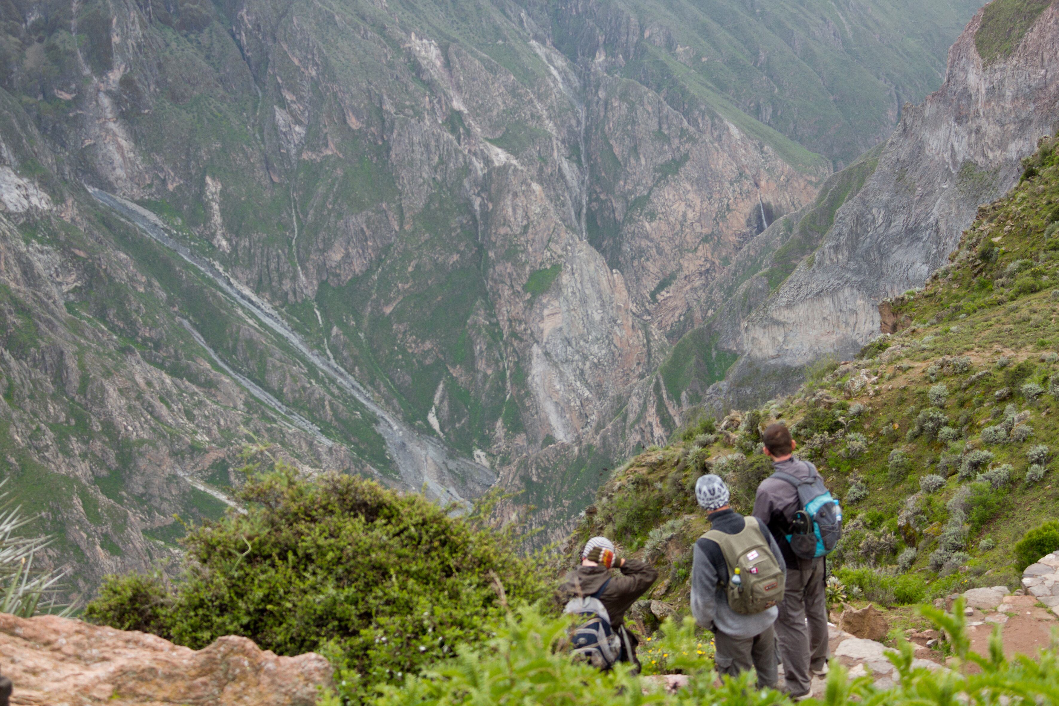 Turistas en el Mirador de la Cruz del Cóndor en el cañón del Colca