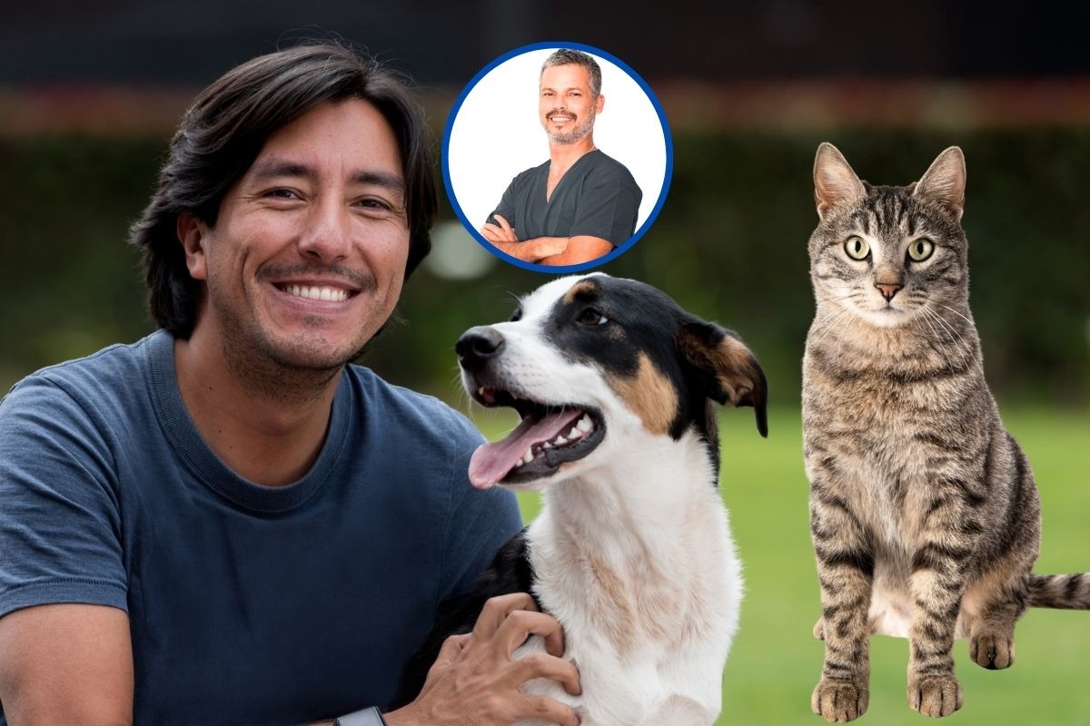 El mejor amigo del hombre. Foto: Composición / iStock.