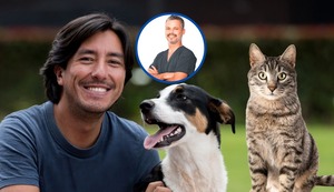 ¿El mejor amigo del hombre ya no es el perro?