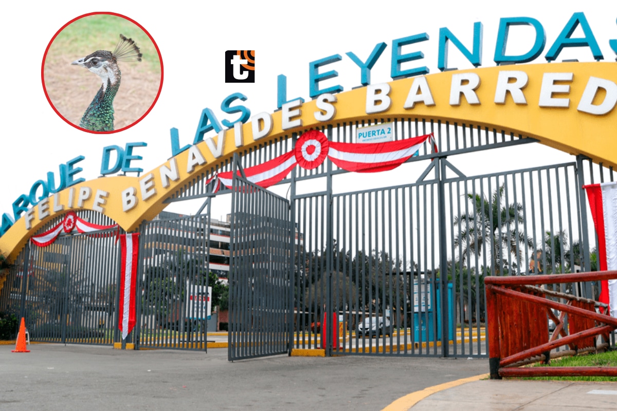 Fiestas Patrias en el Parque de las Leyendas.