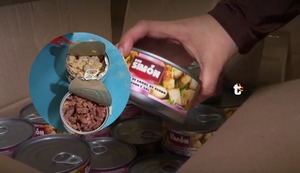 ¡Escándalo en Qali Warma! Distribuyen a los niños conservas en mal estado y con hongos y algunas terminan en refugio para perros