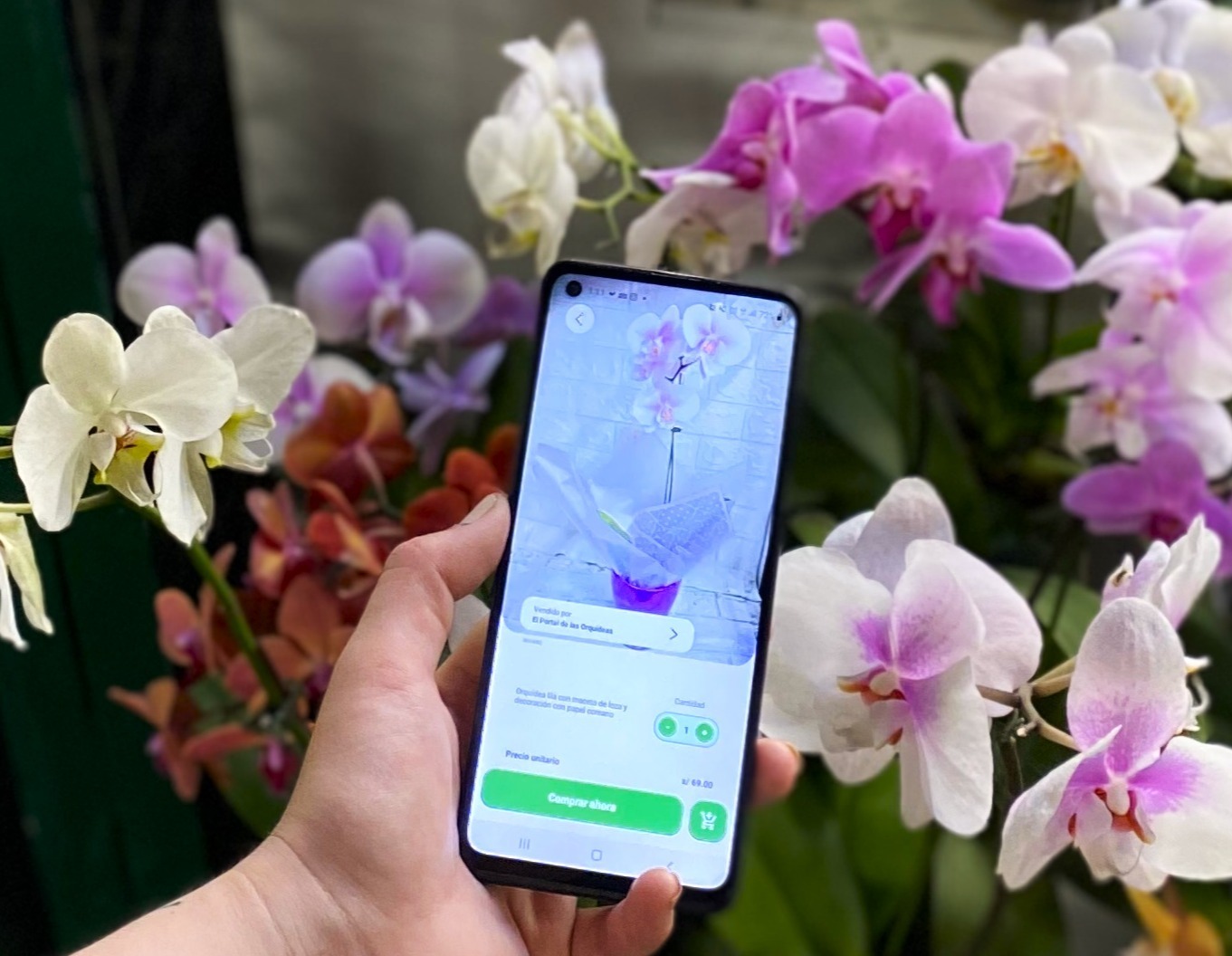 Se estiman cerrar con más de 10,000 mil envíos y más de 30 mil usuarios registrados.