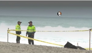 ¿OTRO FEMINICIDIO? Hallan cadáver de una mujer que habría sido atacada por jauría de perros en playa de Lurín