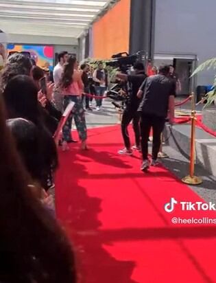 El anuncio de Drake Bell a "Venga la Alegría" se difundió en TikTok (Foto: TikTok)