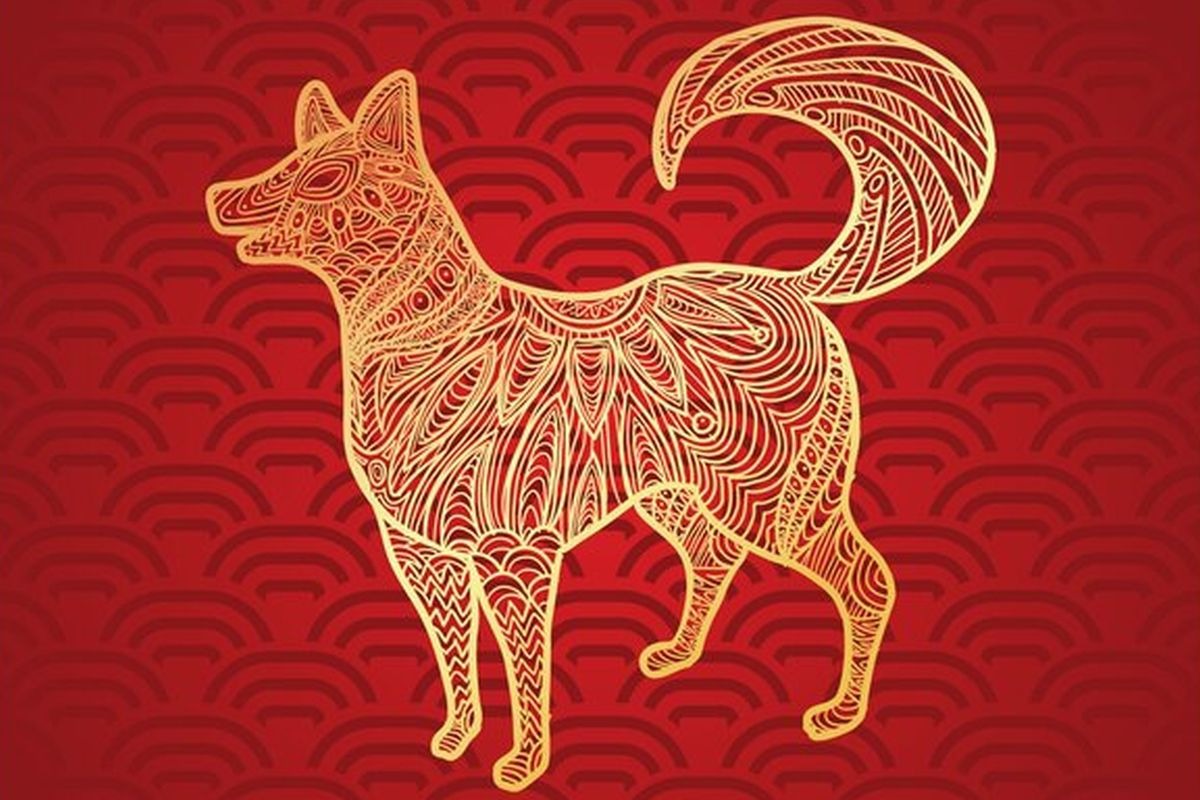 El Perro es el décimo primer signo del horóscopo chino. Es muy leal (Foto: Freepik)