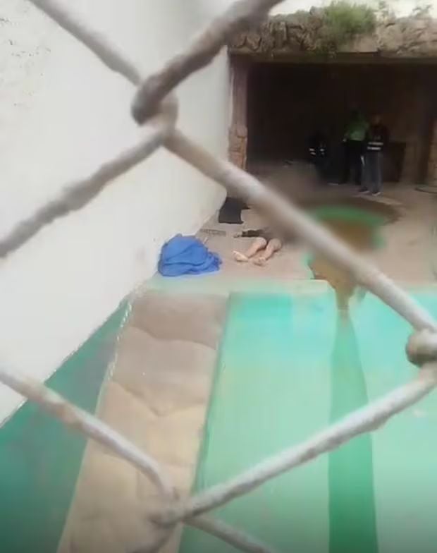 Cuerpo de Christian Vila Rivera habría sido movido.