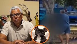 Sujeto que ahorcó a perrita ‘Susu’ en Independencia pide disculpas, pero manifestantes no le creen | VIDEO