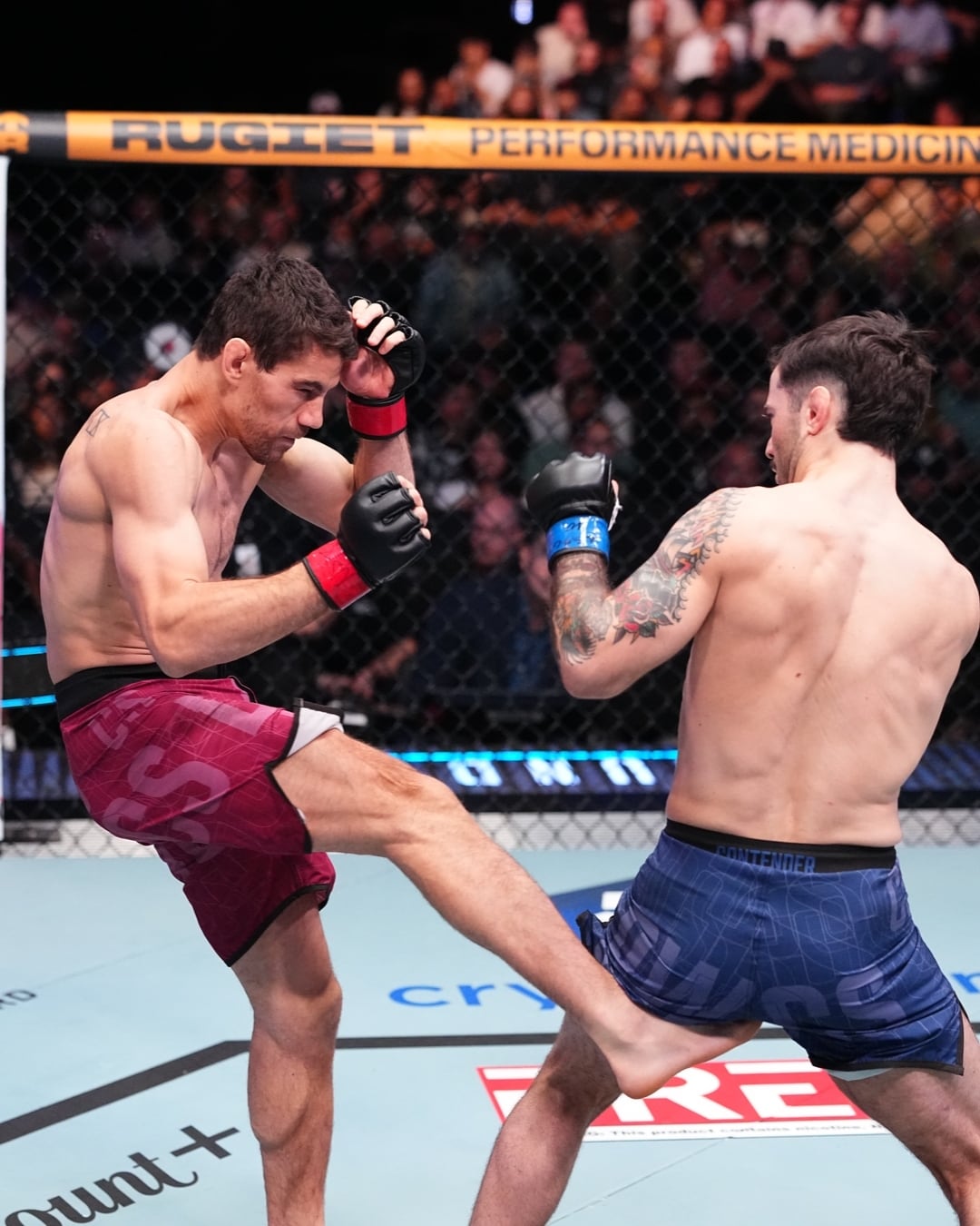 Ian Escuza conecta una low kick al italiano Borando. (@ufc)
