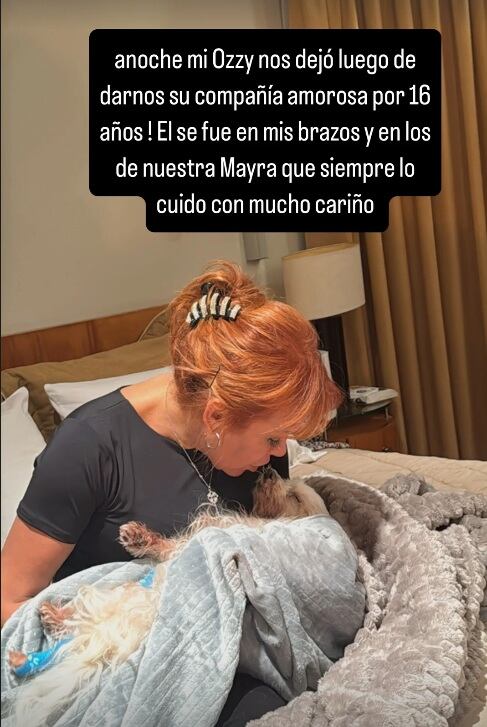 Magaly Medina compartió triste imagen en sus redes sociales. (Instagram)