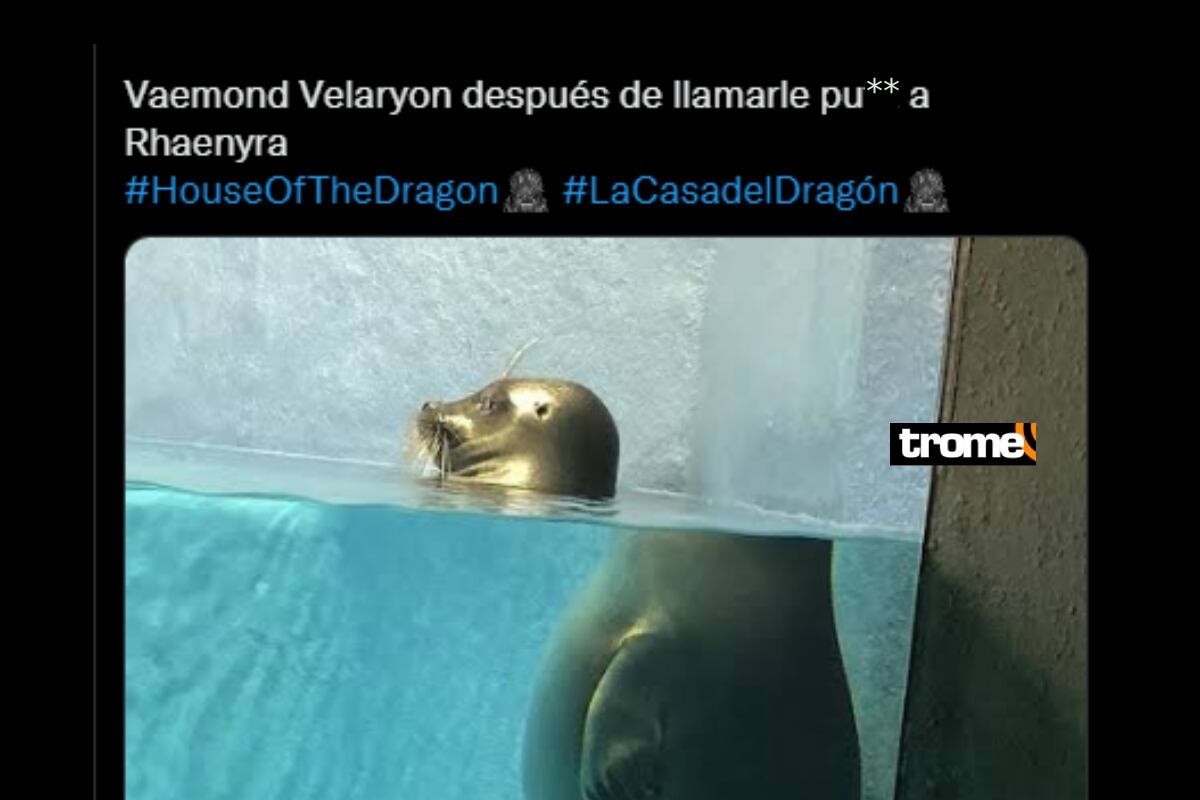 Mira los mejores memes que dejó "House of the Dragon 1x08", capítulo que cautivó a los seguidores de la serie.