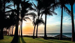 El Búho y sus viajes al norte