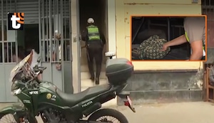 ¡Macabro hallazgo en La Victoria! Policía encuentra cadáver de bebé recién nacido dentro de un departamento