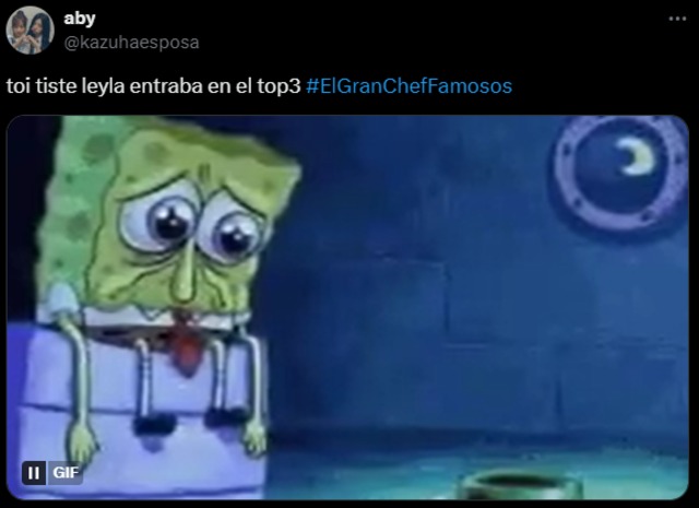 Leyla Chihuán: usuarios reaccionan (Foto: X)