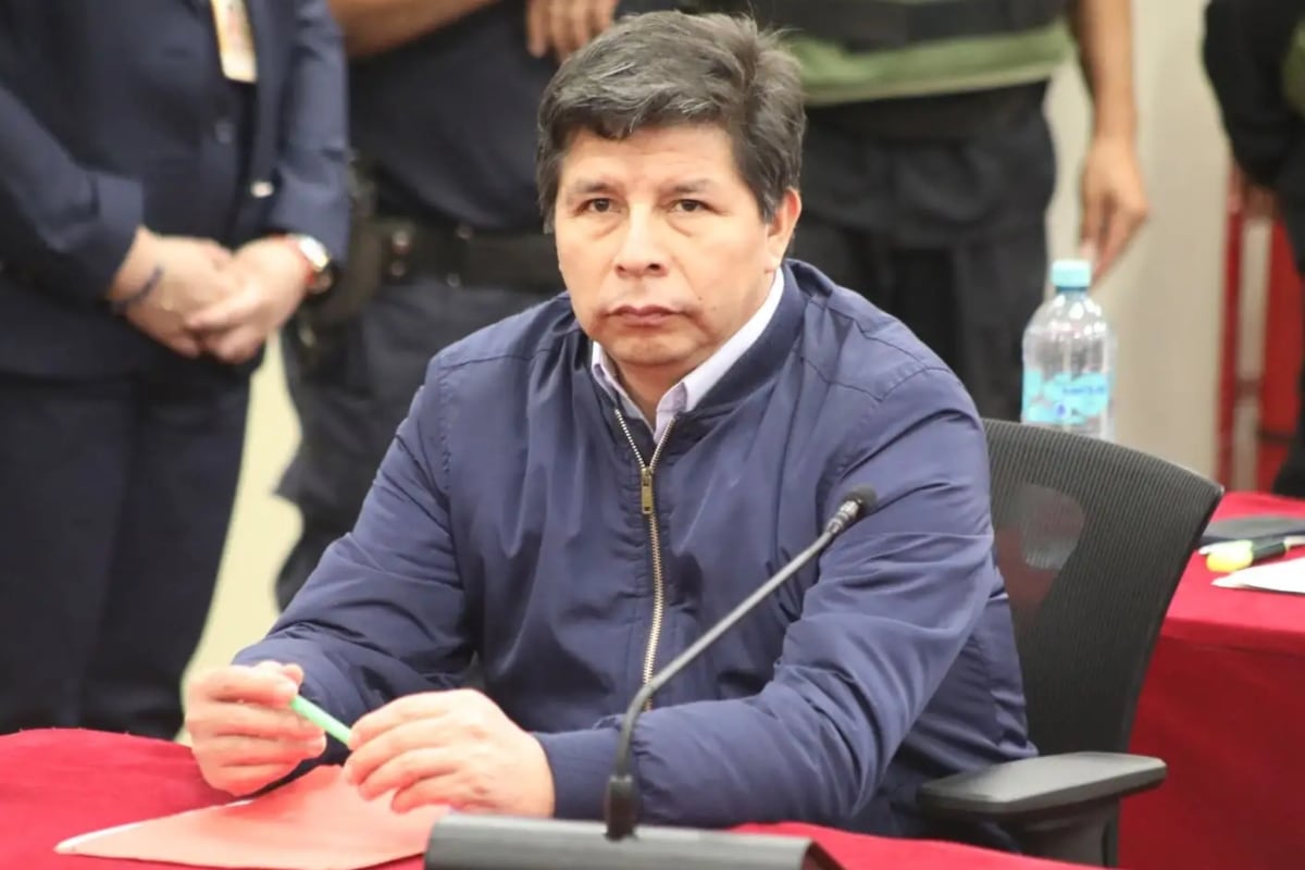 Pedro Castillo busca dejar la prisión, usando como argumento el último informe de la ONPE. (Foto: Andina)